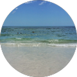 Profile photo of Christopher Trumbull