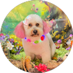 Profile photo of Diana milena Villalba rodriguez