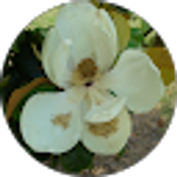 Profile photo of T & A Wilkerson