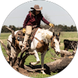 Profile photo of Amye Donaldson