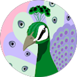 Profile photo of Shanae