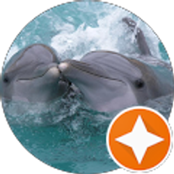 Profile photo of Icy Yip