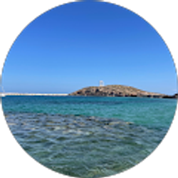 Profile photo of Beezeej28