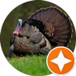 Profile photo of Jacob Knierim