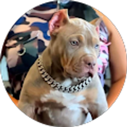 Profile photo of Brian Megginson