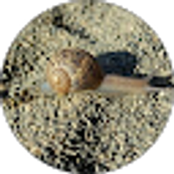 Profile photo of Erica Craiger