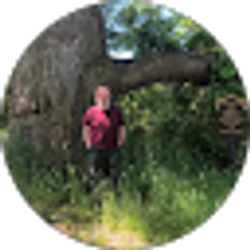 Profile photo of Mark Woods