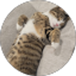 Profile photo of Alexis