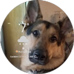 Profile photo of Kimmi Pangallo