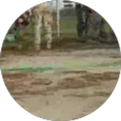 Profile photo of Mike Perdun