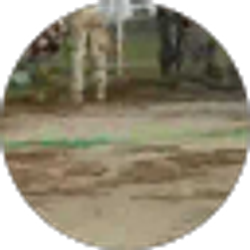 Profile photo of Mike Perdun