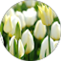 Profile photo of #Super Cool Girl