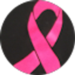 Profile photo of Shauna White