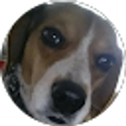 Profile photo of Candice Green