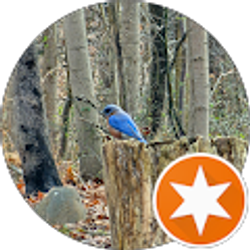 Profile photo of Jody M.