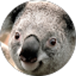 Profile photo of John David White