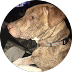 Profile photo of Shawna Posey