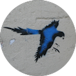 Profile photo of G B Dreyfus