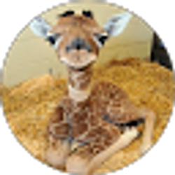 Profile photo of Sherri Hughes