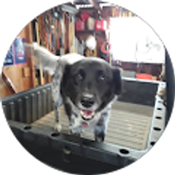 Profile photo of Richard Schaaf