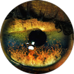 Profile photo of M Jean