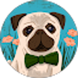 Profile photo of Carolina Girl