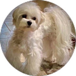 Profile photo of Sabrina Kinney