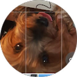 Profile photo of bob2techy L