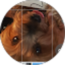 Profile photo of bob2techy L