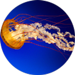 Profile photo of Alivea Matthews