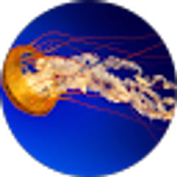 Profile photo of Alivea Matthews