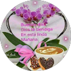 Profile photo of Rosy Contreras