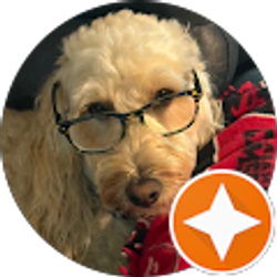 Profile photo of Michael