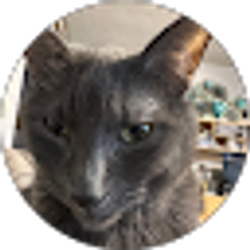 Profile photo of Nile Davidson