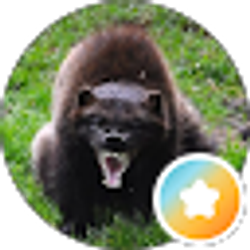 Profile photo of Gideon Zahler