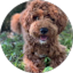Profile photo of Kelley McDonald