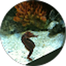 Profile photo of Y H