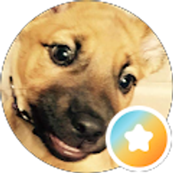 Profile photo of J S