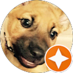 Profile photo of J S