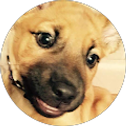 Profile photo of J S