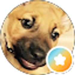 Profile photo of J S