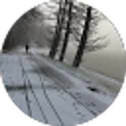 Profile photo of Melak Foster