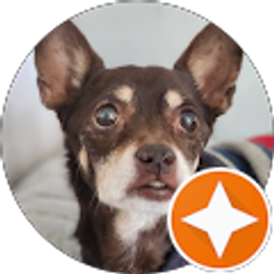 Profile photo of Sara Lanoue