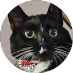 Profile photo of Ashley Marquez-Cruz