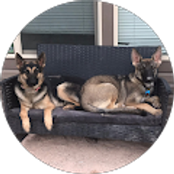 Profile photo of marianavillegas94