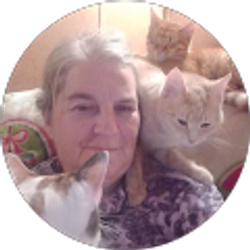 Profile photo of Kimber Haddock