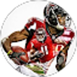 Profile photo of Falcons 493