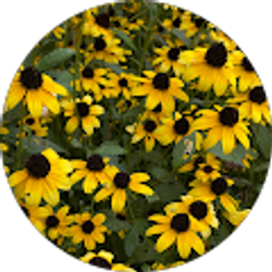 Profile photo of Jane Grabowski