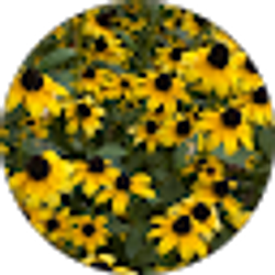 Profile photo of Jane Grabowski