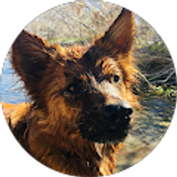 Profile photo of Stevie Gunnersen